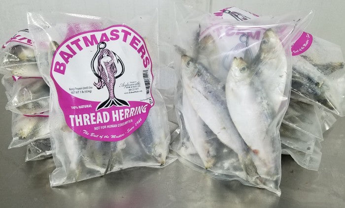 Thread Herring 1lb – JDOutdoorAdventures