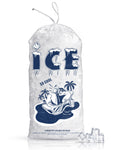 10lb Ice Bag