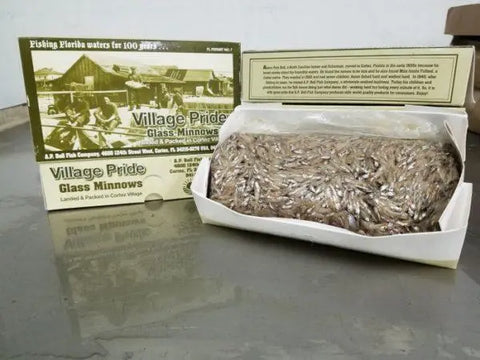 Glass Minnows Box 5lb