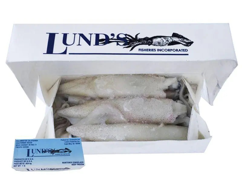 Squid Boxes – JDOutdoorAdventures