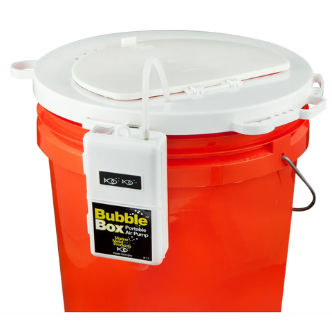 bait bucket lid tackle box Bait Buckets wit/ Bubbler Combo – JDOutdoorAdventures